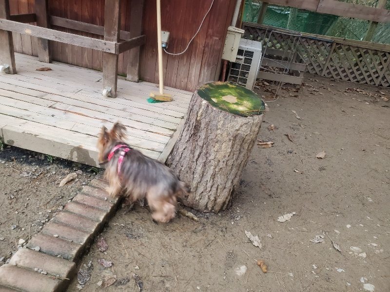 f:id:roukenhome-ann:20191222201626j:plain f:id:roukenhome-ann:20191222201626j:plain