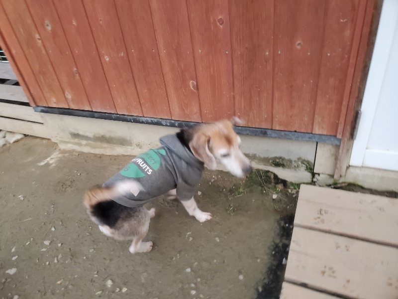 f:id:roukenhome-ann:20191222201650j:plain f:id:roukenhome-ann:20191222201650j:plain