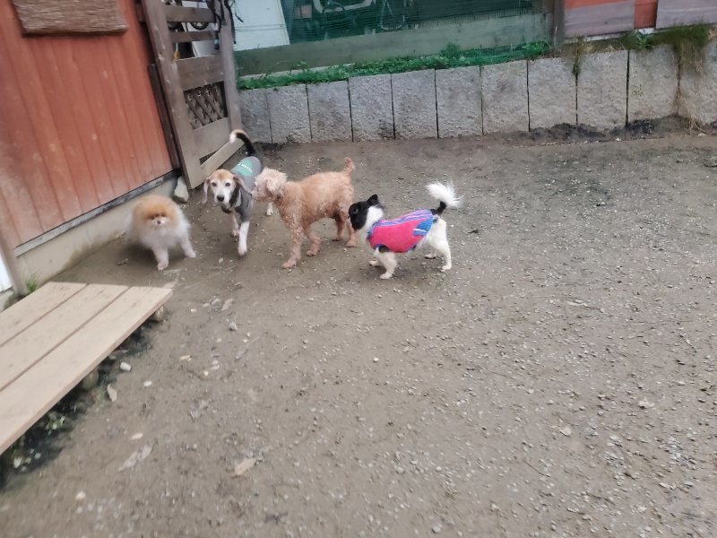 f:id:roukenhome-ann:20191222201719j:plain f:id:roukenhome-ann:20191222201719j:plain