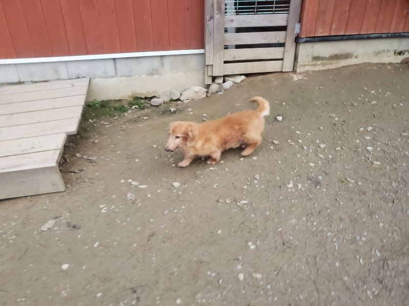 f:id:roukenhome-ann:20191222201733j:plain f:id:roukenhome-ann:20191222201733j:plain