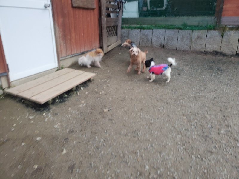 f:id:roukenhome-ann:20191222201800j:plain f:id:roukenhome-ann:20191222201800j:plain