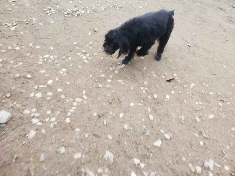 f:id:roukenhome-ann:20191222201830j:plain f:id:roukenhome-ann:20191222201830j:plain