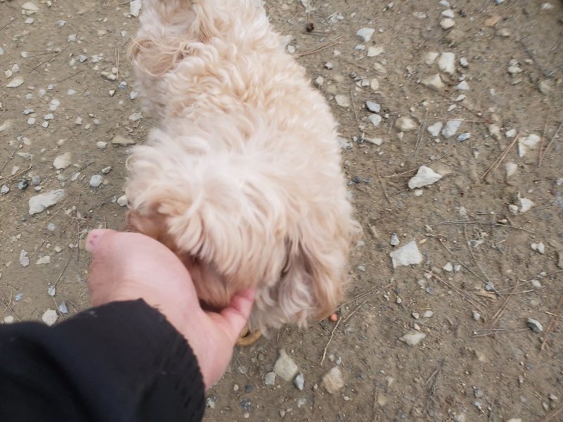f:id:roukenhome-ann:20191222201901j:plain f:id:roukenhome-ann:20191222201901j:plain