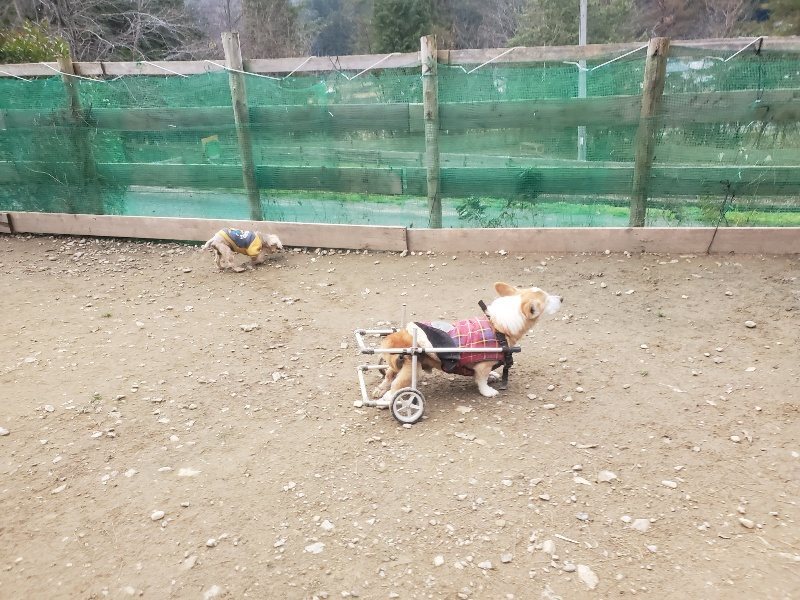 f:id:roukenhome-ann:20191222202016j:plain f:id:roukenhome-ann:20191222202016j:plain
