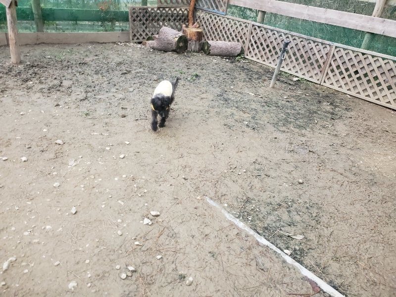 f:id:roukenhome-ann:20191222202150j:plain f:id:roukenhome-ann:20191222202150j:plain