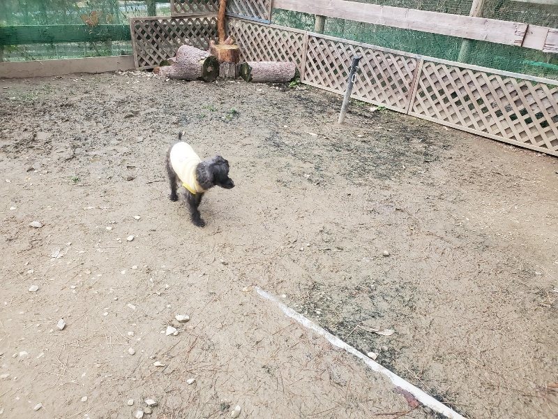f:id:roukenhome-ann:20191222202303j:plain f:id:roukenhome-ann:20191222202303j:plain