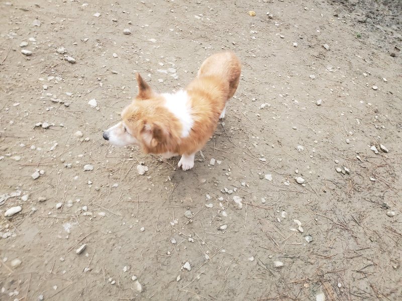 f:id:roukenhome-ann:20191222202337j:plain f:id:roukenhome-ann:20191222202337j:plain