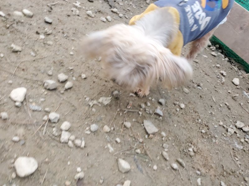 f:id:roukenhome-ann:20191222202621j:plain f:id:roukenhome-ann:20191222202621j:plain