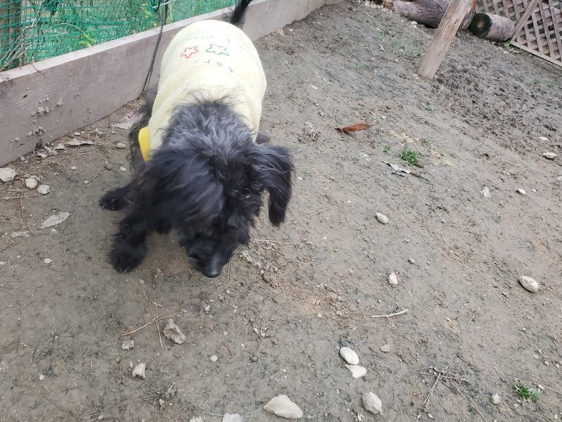 f:id:roukenhome-ann:20191222202651j:plain f:id:roukenhome-ann:20191222202651j:plain