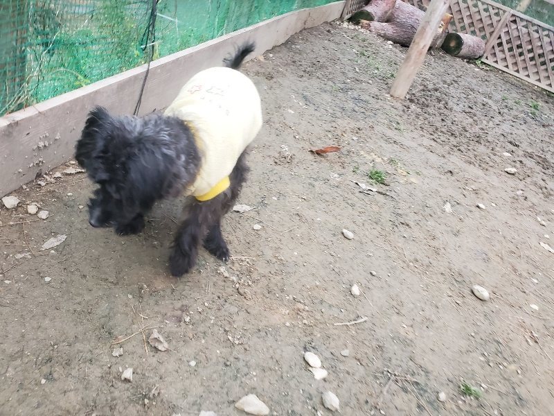 f:id:roukenhome-ann:20191222202717j:plain f:id:roukenhome-ann:20191222202717j:plain