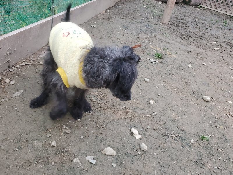 f:id:roukenhome-ann:20191222202733j:plain f:id:roukenhome-ann:20191222202733j:plain