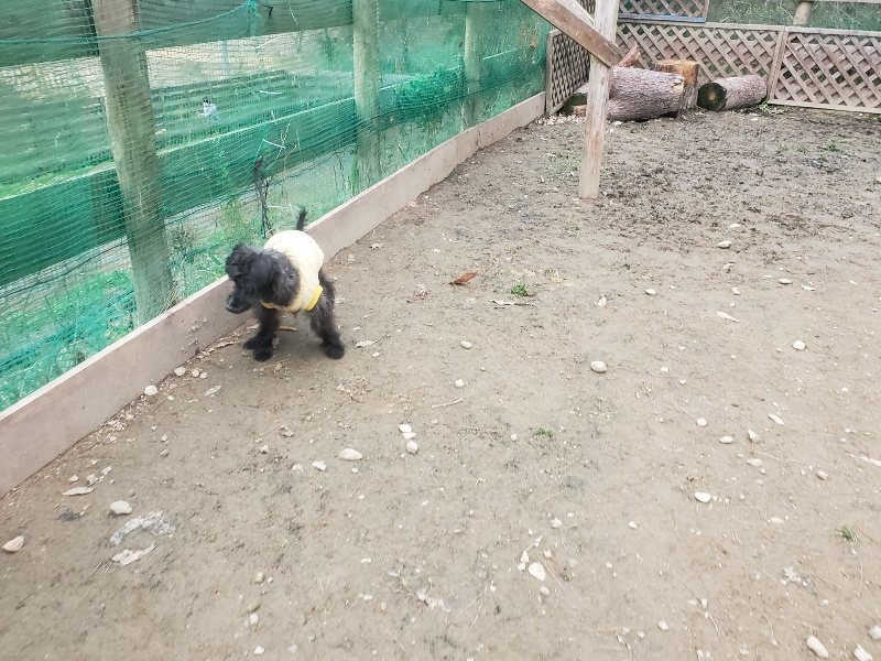 f:id:roukenhome-ann:20191222202742j:plain f:id:roukenhome-ann:20191222202742j:plain