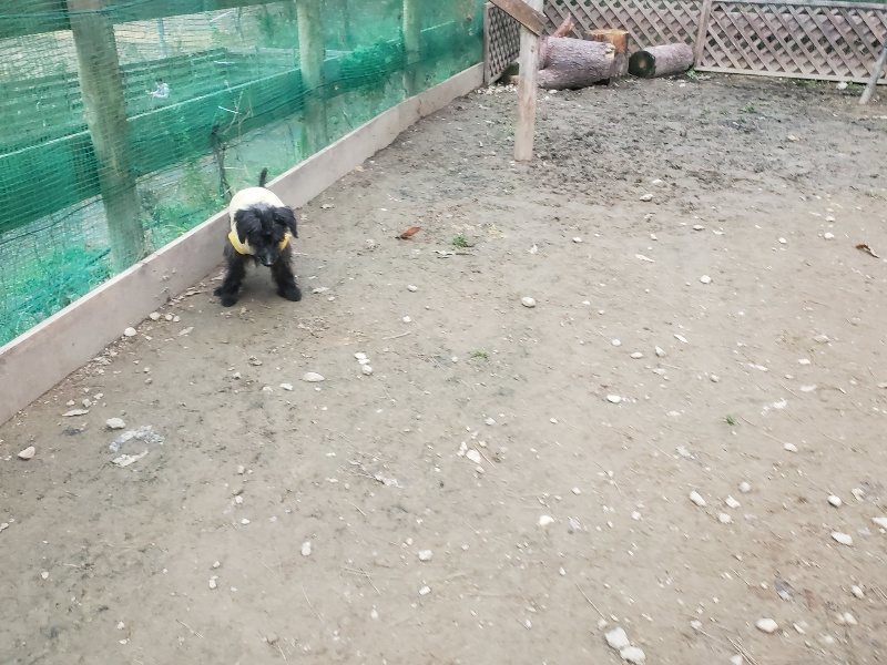 f:id:roukenhome-ann:20191222202749j:plain f:id:roukenhome-ann:20191222202749j:plain