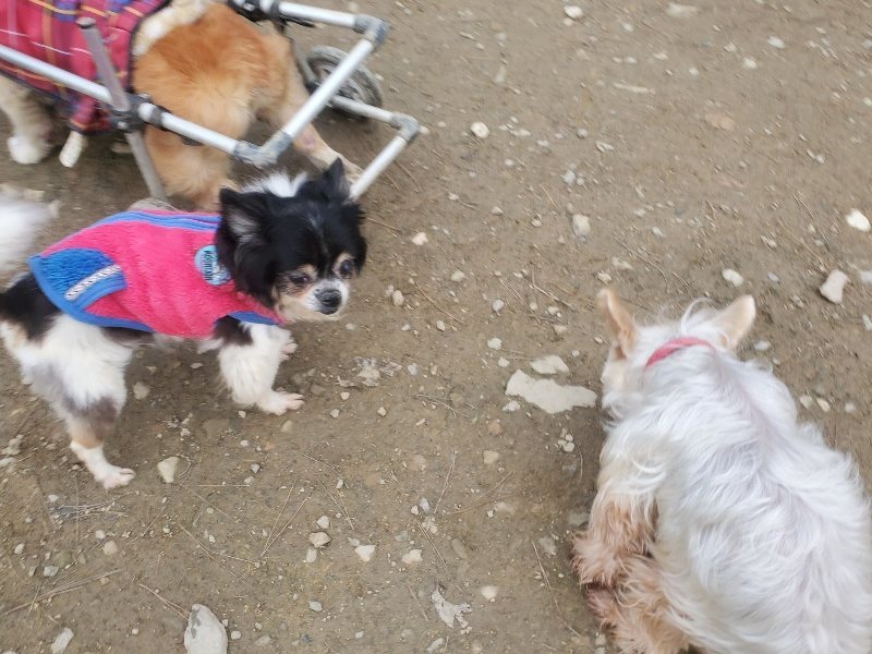 f:id:roukenhome-ann:20191222202850j:plain f:id:roukenhome-ann:20191222202850j:plain