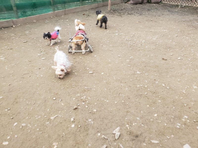 f:id:roukenhome-ann:20191222203005j:plain f:id:roukenhome-ann:20191222203005j:plain