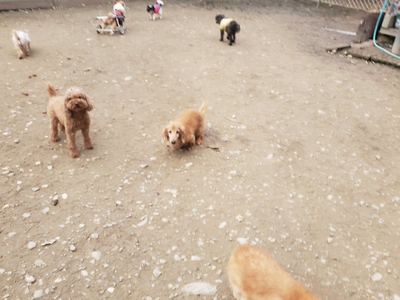 f:id:roukenhome-ann:20191222203011j:plain f:id:roukenhome-ann:20191222203011j:plain