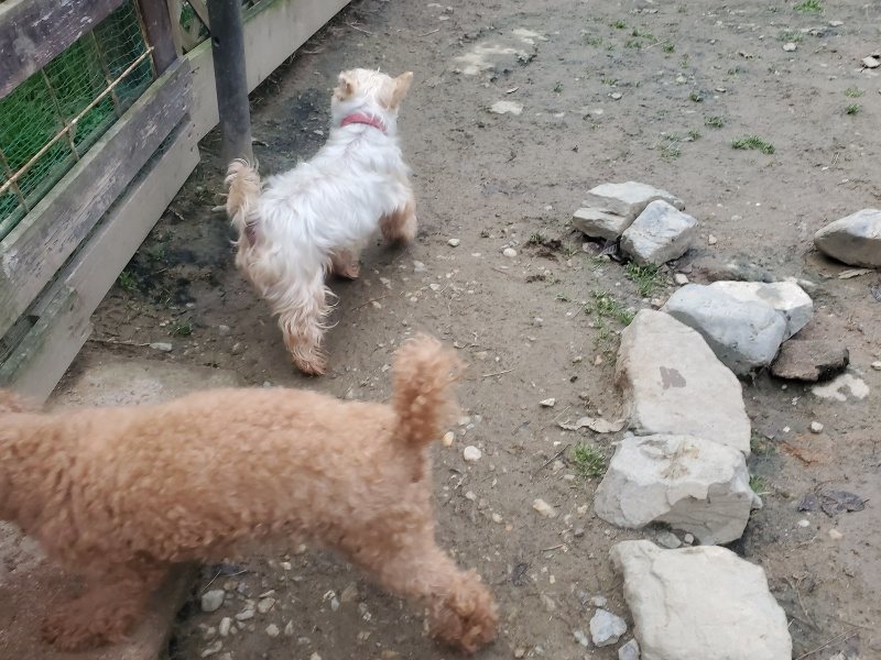 f:id:roukenhome-ann:20191222203054j:plain f:id:roukenhome-ann:20191222203054j:plain