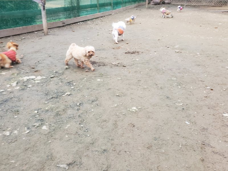 f:id:roukenhome-ann:20191222203101j:plain f:id:roukenhome-ann:20191222203101j:plain