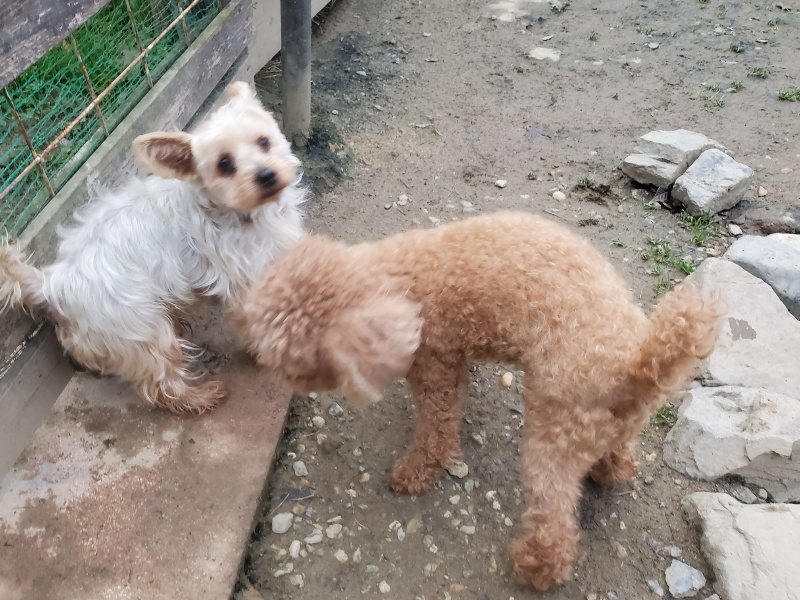 f:id:roukenhome-ann:20191222203108j:plain f:id:roukenhome-ann:20191222203108j:plain