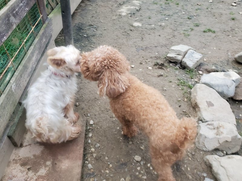 f:id:roukenhome-ann:20191222203125j:plain f:id:roukenhome-ann:20191222203125j:plain