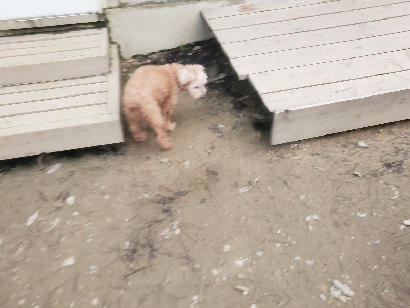 f:id:roukenhome-ann:20191222203143j:plain f:id:roukenhome-ann:20191222203143j:plain