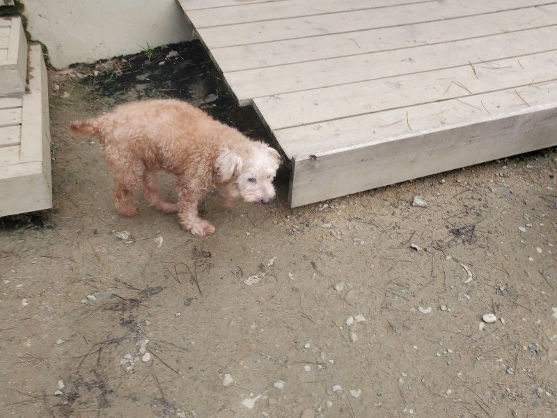 f:id:roukenhome-ann:20191222203149j:plain f:id:roukenhome-ann:20191222203149j:plain