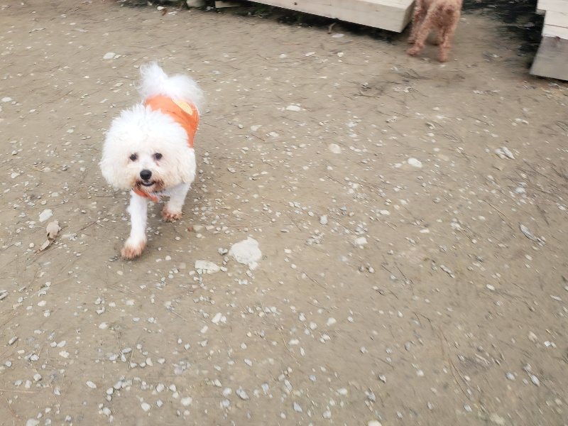 f:id:roukenhome-ann:20191222203211j:plain f:id:roukenhome-ann:20191222203211j:plain