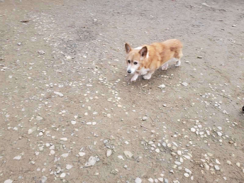 f:id:roukenhome-ann:20191222203250j:plain f:id:roukenhome-ann:20191222203250j:plain