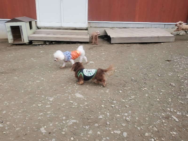 f:id:roukenhome-ann:20191222203258j:plain f:id:roukenhome-ann:20191222203258j:plain