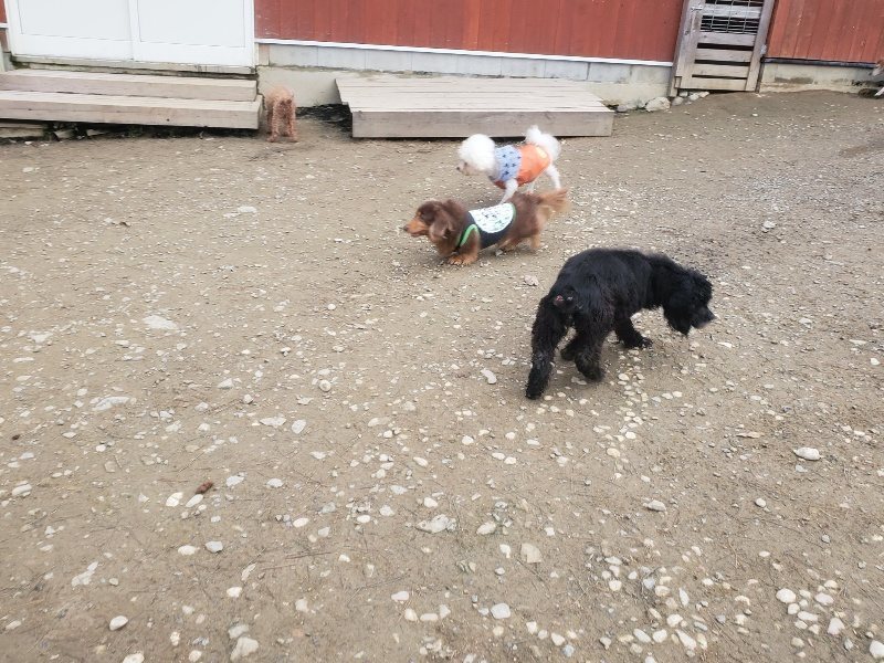 f:id:roukenhome-ann:20191222203309j:plain f:id:roukenhome-ann:20191222203309j:plain