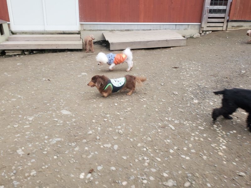 f:id:roukenhome-ann:20191222203315j:plain f:id:roukenhome-ann:20191222203315j:plain