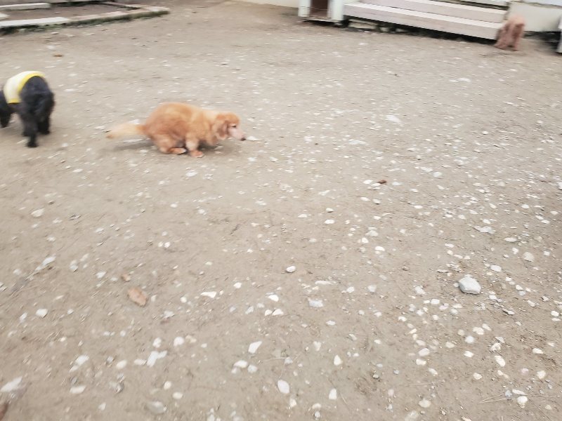 f:id:roukenhome-ann:20191222203324j:plain f:id:roukenhome-ann:20191222203324j:plain