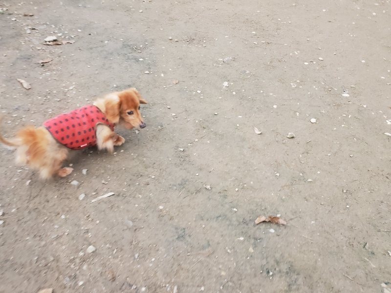 f:id:roukenhome-ann:20191222203406j:plain f:id:roukenhome-ann:20191222203406j:plain