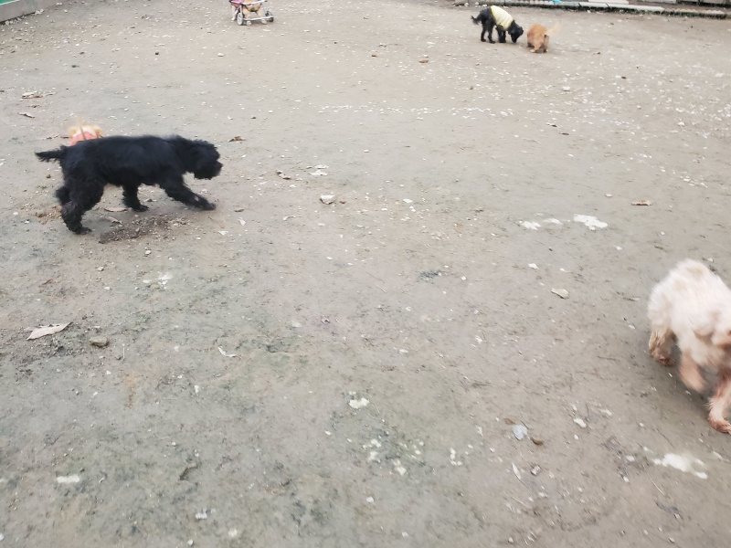 f:id:roukenhome-ann:20191222203417j:plain f:id:roukenhome-ann:20191222203417j:plain