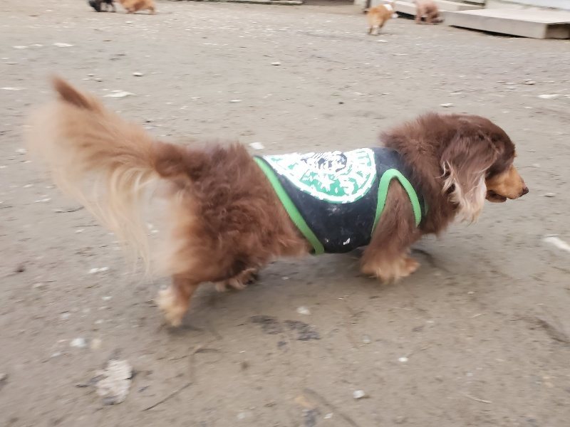 f:id:roukenhome-ann:20191222203433j:plain f:id:roukenhome-ann:20191222203433j:plain