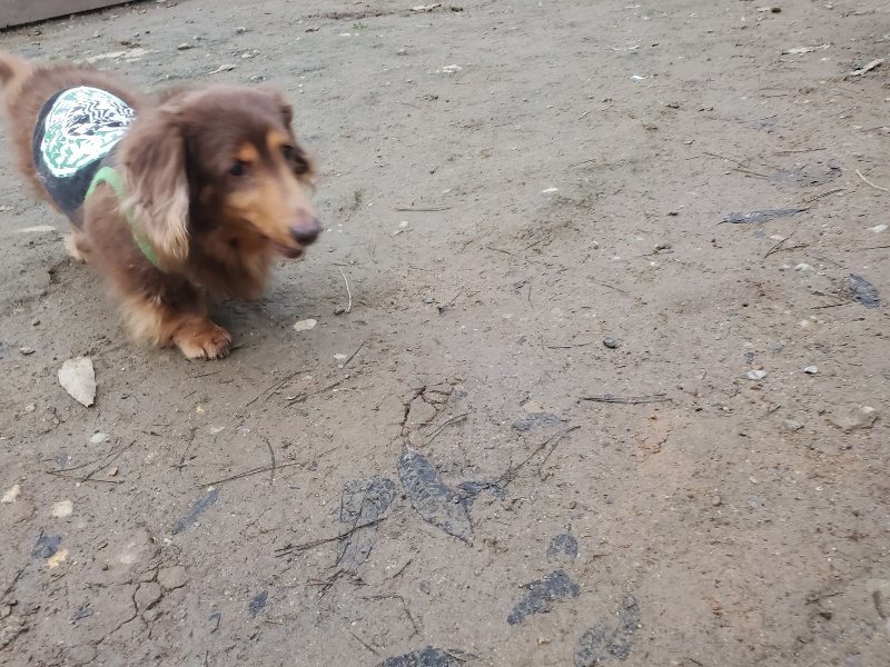 f:id:roukenhome-ann:20191222203440j:plain f:id:roukenhome-ann:20191222203440j:plain