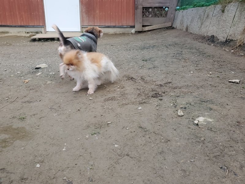 f:id:roukenhome-ann:20191222203449j:plain f:id:roukenhome-ann:20191222203449j:plain