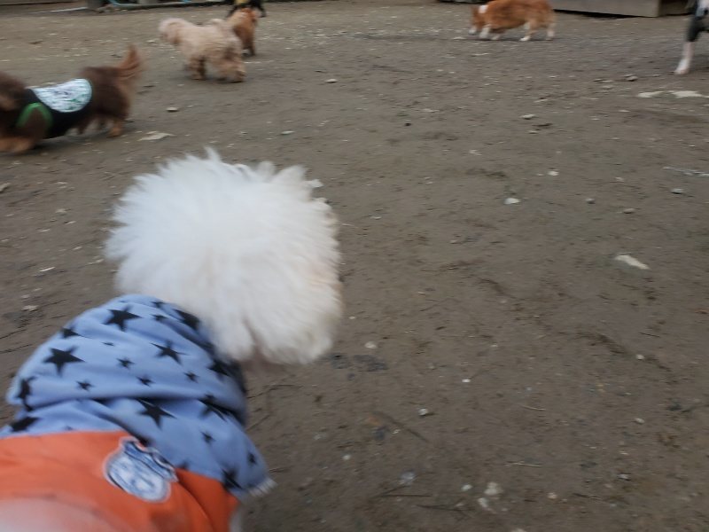 f:id:roukenhome-ann:20191222203454j:plain f:id:roukenhome-ann:20191222203454j:plain