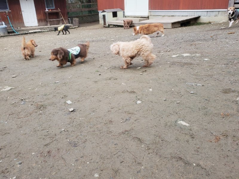 f:id:roukenhome-ann:20191222203521j:plain f:id:roukenhome-ann:20191222203521j:plain