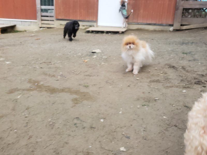 f:id:roukenhome-ann:20191222203527j:plain f:id:roukenhome-ann:20191222203527j:plain