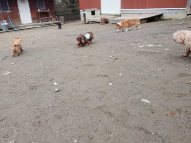 f:id:roukenhome-ann:20191222203533j:plain f:id:roukenhome-ann:20191222203533j:plain
