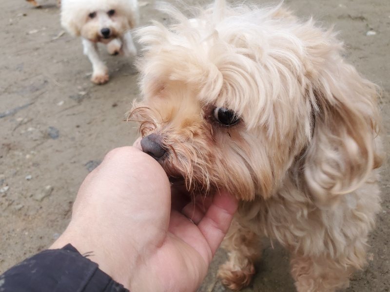 f:id:roukenhome-ann:20191222203541j:plain f:id:roukenhome-ann:20191222203541j:plain
