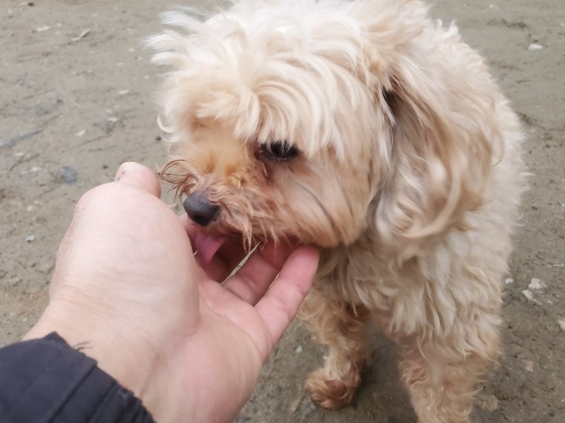 f:id:roukenhome-ann:20191222203554j:plain f:id:roukenhome-ann:20191222203554j:plain