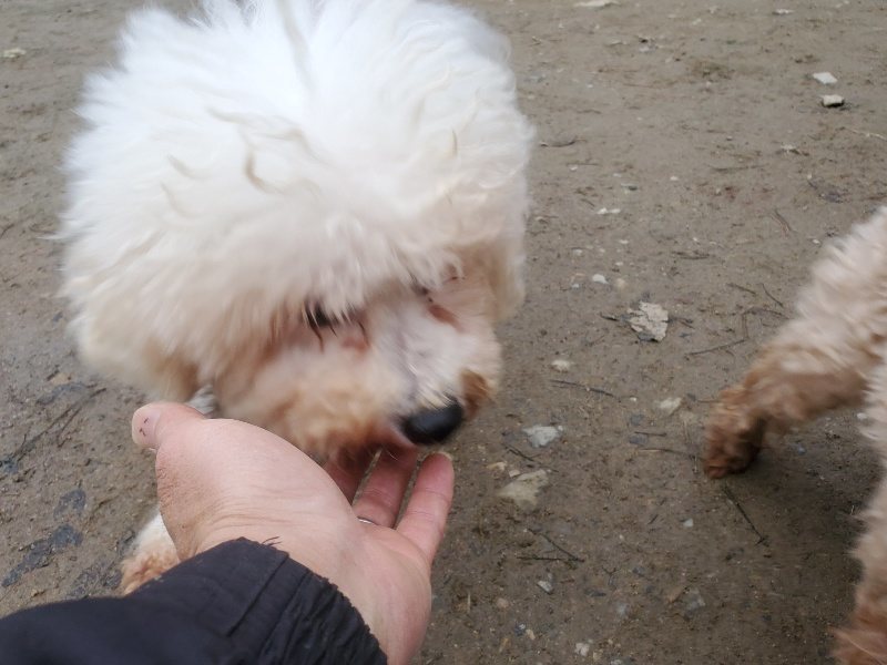 f:id:roukenhome-ann:20191222203603j:plain f:id:roukenhome-ann:20191222203603j:plain