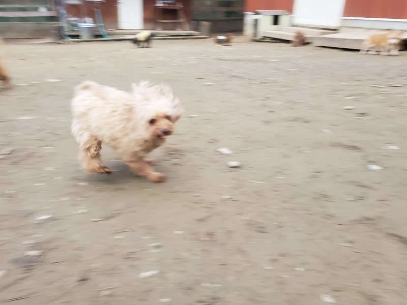 f:id:roukenhome-ann:20191222203609j:plain f:id:roukenhome-ann:20191222203609j:plain