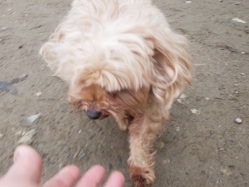f:id:roukenhome-ann:20191222203615j:plain f:id:roukenhome-ann:20191222203615j:plain