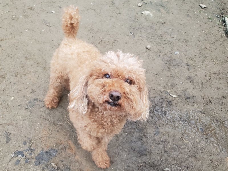 f:id:roukenhome-ann:20191222203658j:plain f:id:roukenhome-ann:20191222203658j:plain