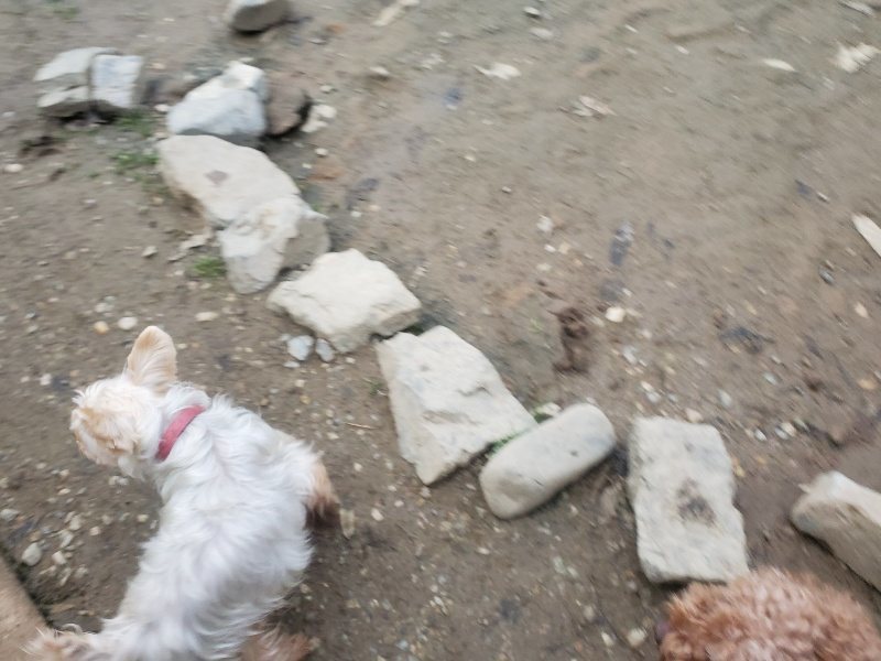 f:id:roukenhome-ann:20191222203704j:plain f:id:roukenhome-ann:20191222203704j:plain