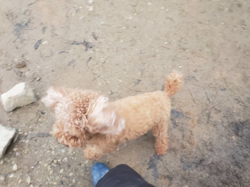 f:id:roukenhome-ann:20191222203727j:plain f:id:roukenhome-ann:20191222203727j:plain