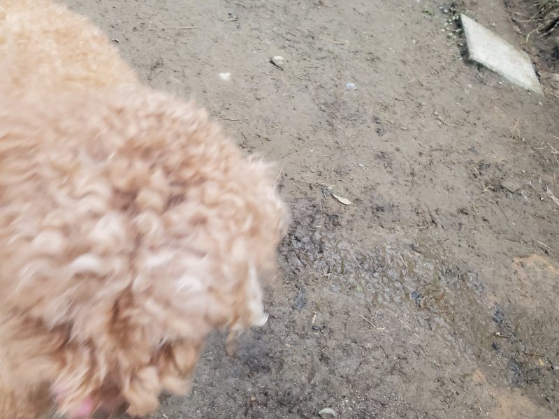 f:id:roukenhome-ann:20191222203746j:plain f:id:roukenhome-ann:20191222203746j:plain